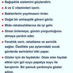 Yağı Alınmamış Doğal Gül Suyu  (Gül Mayası) 5 litre