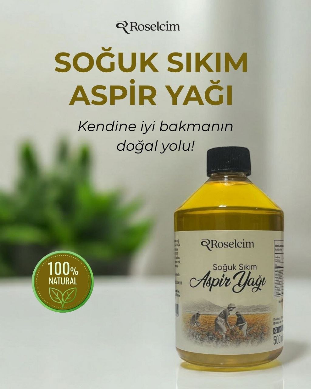 500 Ml Aspir Yağı (Soğuk Sıkım)